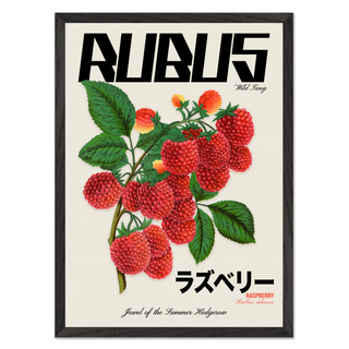Graphic design wall art featuring a Rubus berry illustration combined with modern urban text and Japanese writing, displayed in a premium black wooden frame.