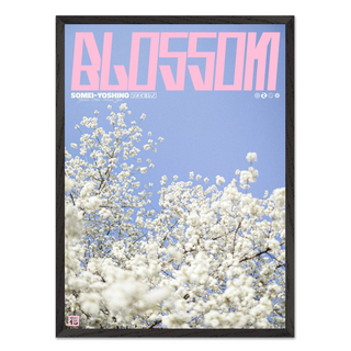 Lilac and pink graphic design poster with cherry blossoms and 'Blossom' text. Displayed in a premium wooden black frame.