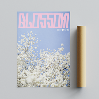 Lilac and pink graphic design poster with cherry blossoms and 'Blossom' text. Displayed next to brown cardboard roll packaging tube. 