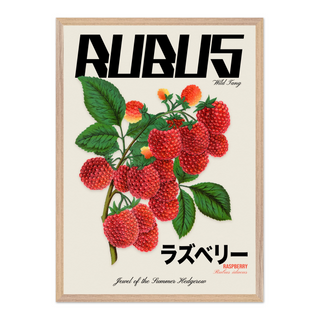 Graphic design wall art featuring a Rubus berry illustration combined with modern urban text and Japanese writing, displayed in a premium oak wooden frame.