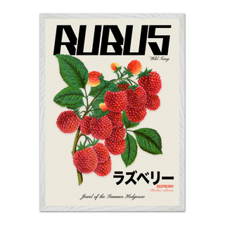 Graphic design wall art featuring a Rubus berry illustration combined with modern urban text and Japanese writing, displayed in a premium whit wooden frame.